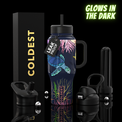 COLDEST 36 oz Insulated Stainless Steel Water Bottle | Limitless Series