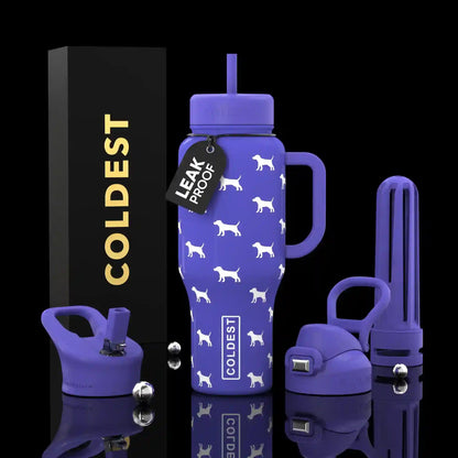 COLDEST 36 oz Insulated Stainless Steel Water Bottle | Limitless Series