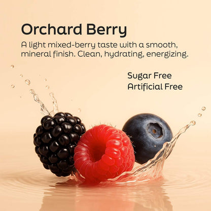 Fresh blackberry, raspberry, and blueberry with a water splash highlighting the Orchard Berry flavor of Root'd His Multi daily wellness drink mix, featuring a sugar-free and artificially flavored-free formula.